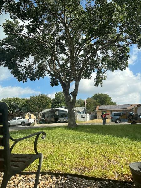 Soto's Lawn and Tree Service