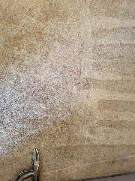 KPA Carpet Cleaning Services