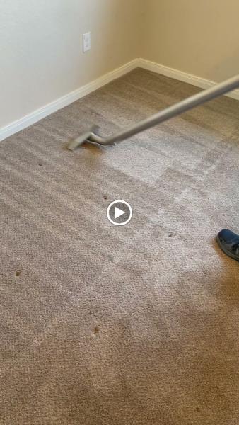 Fosters Steamer Carpet Cleaning