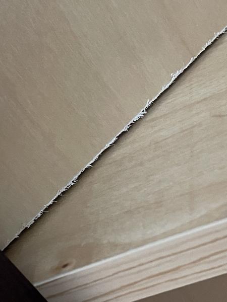 Kashmir Floors & Cabinet