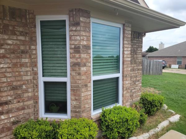 Protex Remodeling Windows