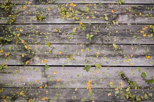 Chula Vista Landscaping & Synthetic Turf