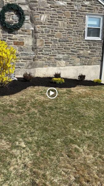 Carlos Landscaping & Tree Service Inc