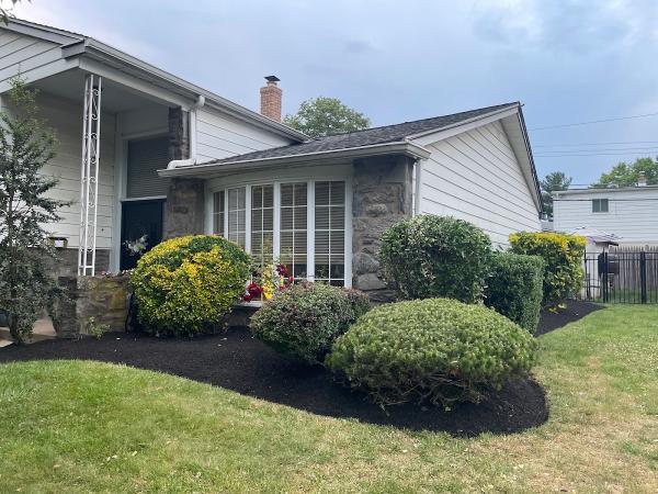 Carlos Landscaping & Tree Service Inc