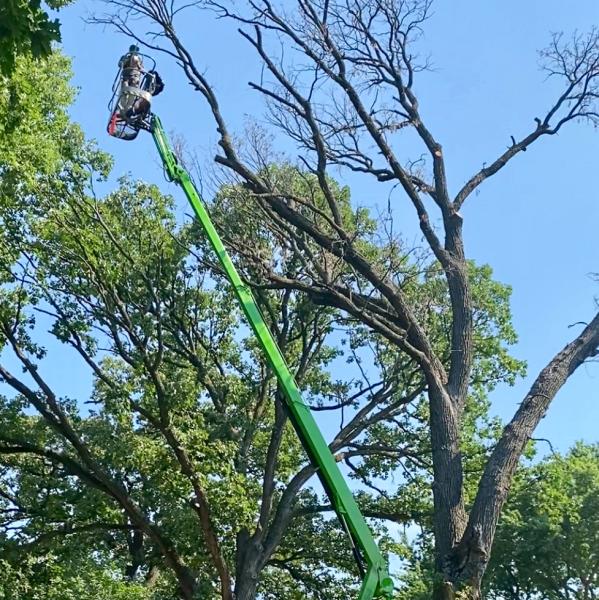 Olson Tree Care