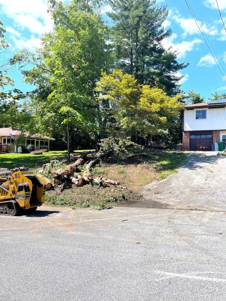 CMJ Tree Service