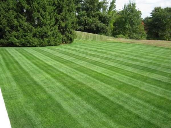 Rutland Turf Care