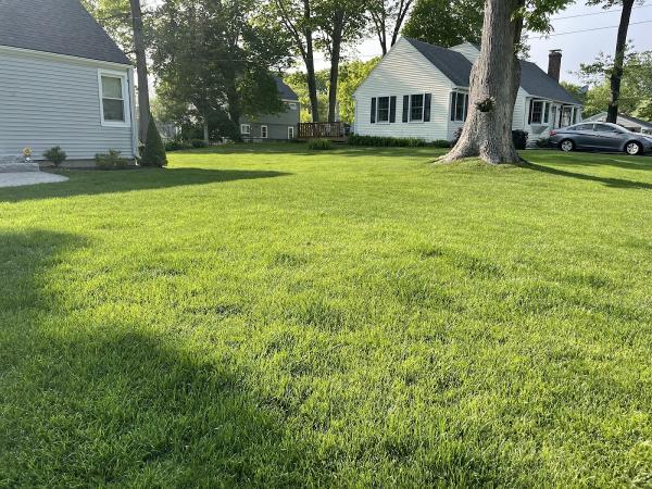 Rutland Turf Care