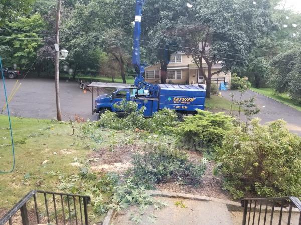 Skyview Tree Service