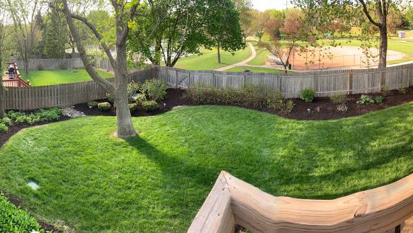 Tj's Lawn Maintenance