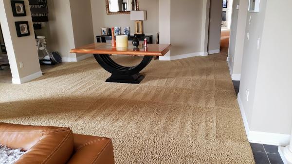 Cleanstarr Carpet Cleaning LLC