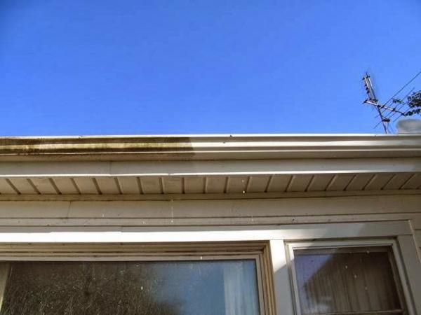 Power Wash Services
