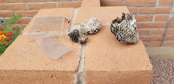 Beemaster Inc