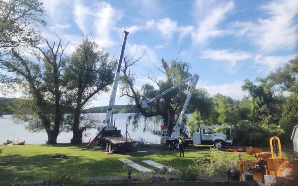 Branch to Branch Tree Service