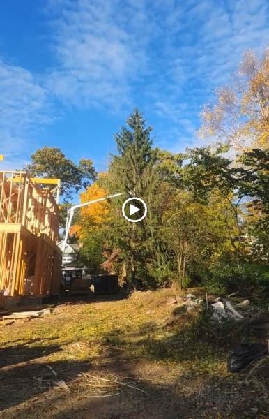 Branch to Branch Tree Service