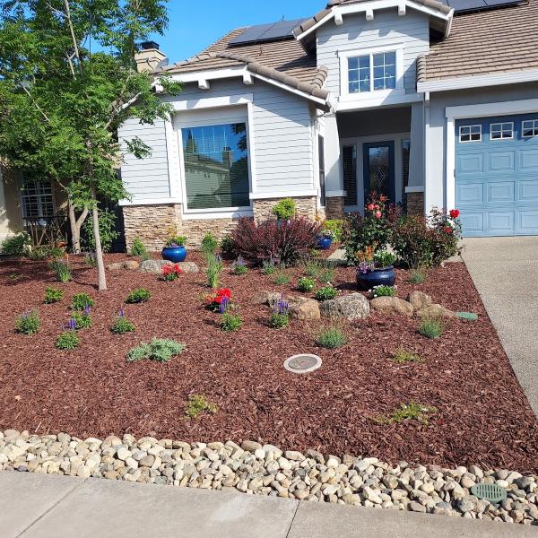 Landscape and Tree Company