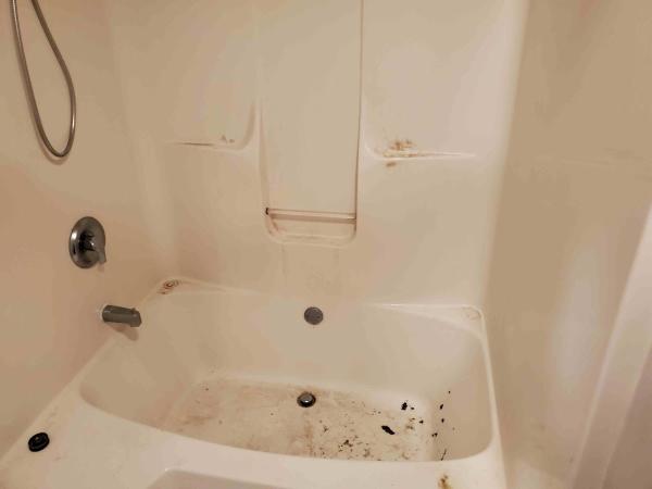Michelle's Home Cleaners LLC