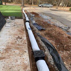 Vortex Waterproofing & Pest Solutions