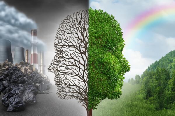 Total Quality Environmental Inc.