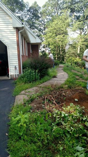 Carone and Sons Landscaping LLC