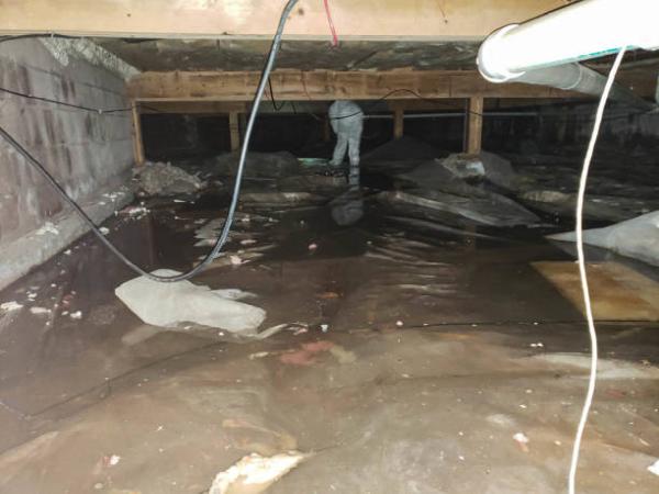Phoenix Water Damage Restoration Pros