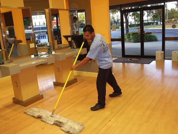 Aracelys Cleaning Services