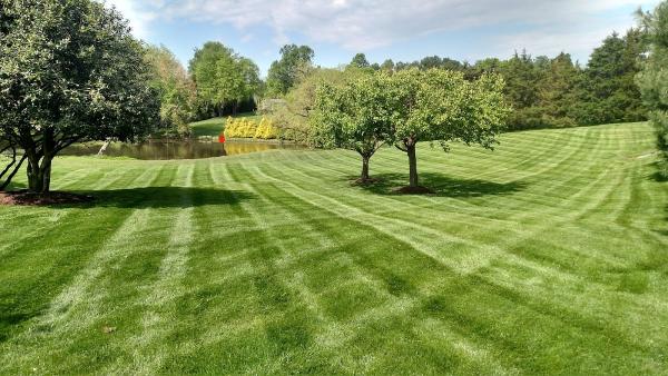 3 Sticks Lawn Care