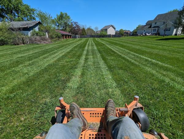 Louie's Property Maintenance