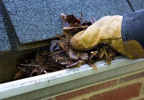St Paul Gutter Cleaning