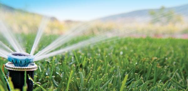 Charlotte Irrigation INC