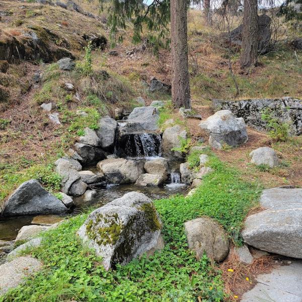 Deeproots Landscaping and Nursery Inc