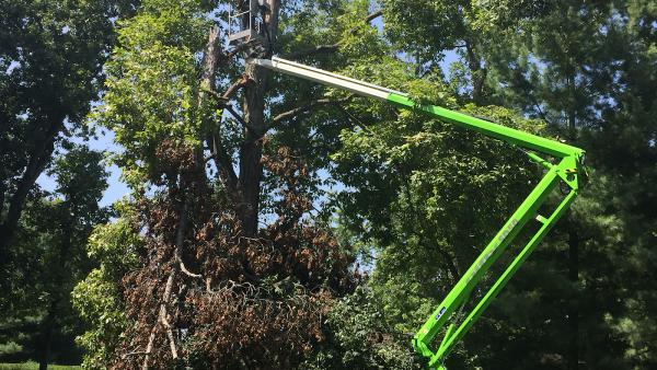 Cannonball Bobcat & Tree Service