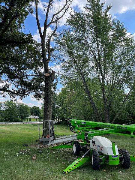Cannonball Bobcat & Tree Service