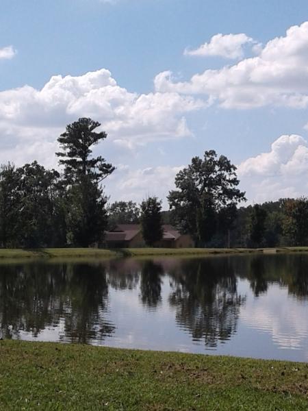 Reed Contracting Services Inc