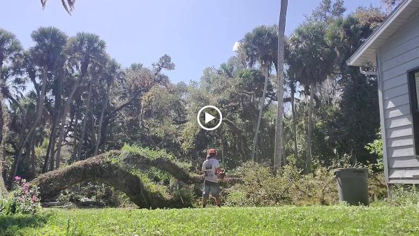 The Trusted Traveling Tree Trimmers LLC