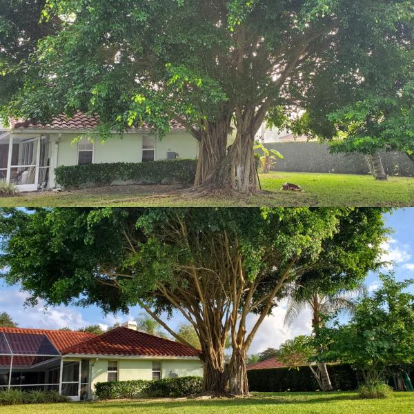 The Trusted Traveling Tree Trimmers LLC