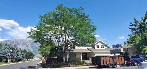 Ixta Tree Experts