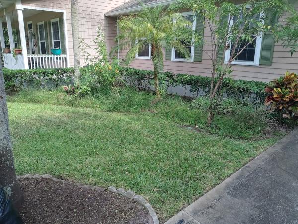 Sampson and Sons Lawn Care and Tree Work