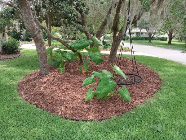 Sampson and Sons Lawn Care and Tree Work