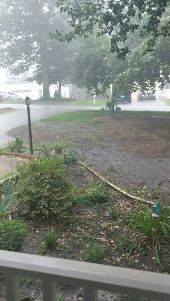Creative Rain Irrigation