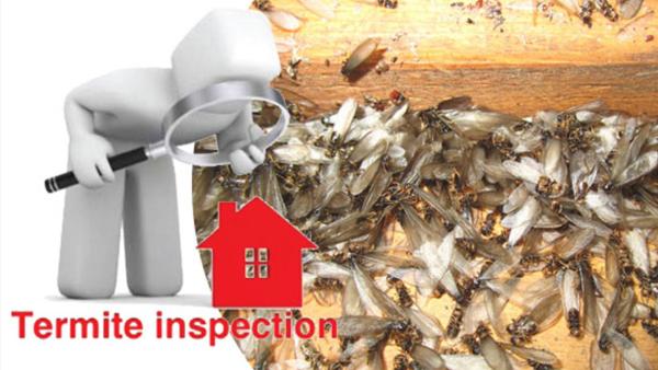 Little's Pest Control