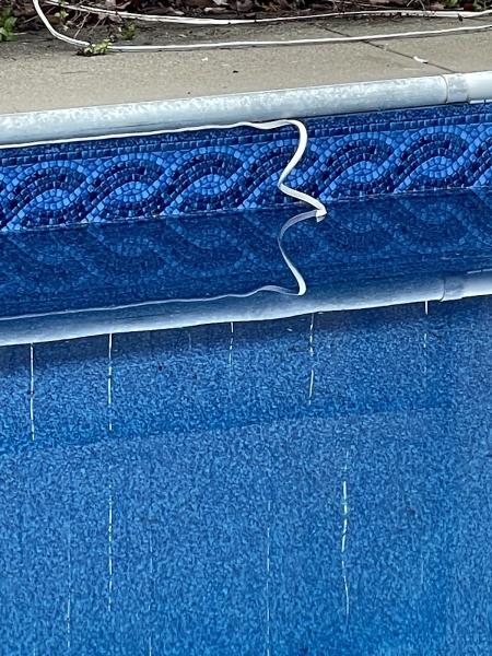 Premier Pool Service