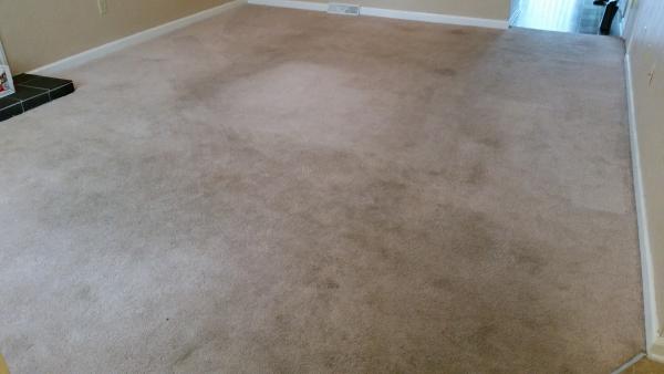 Seasons Carpet Cleaning