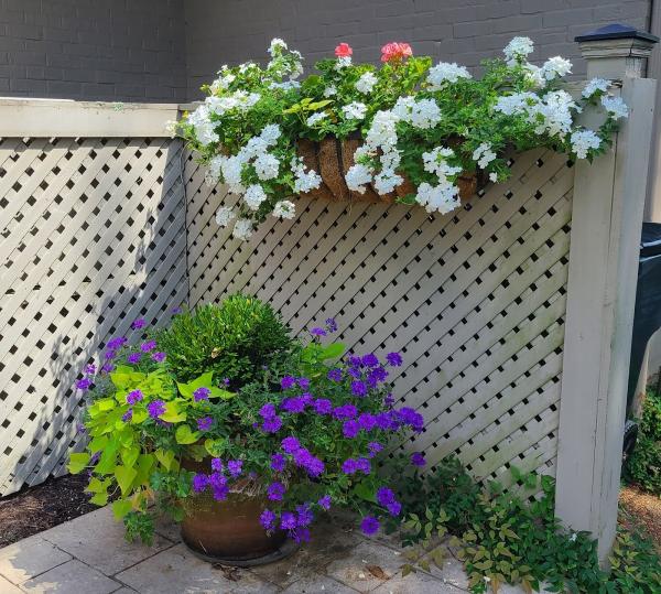 Scott Fine Gardens