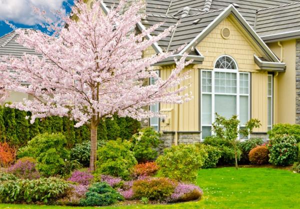 K & S Tree Care