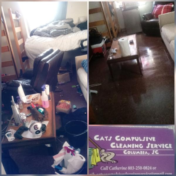 Cats Compulsive Cleaning Service