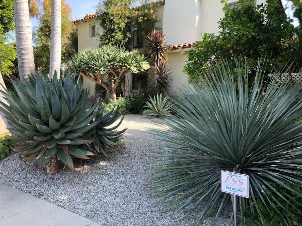Sergio Contreras Landscape Inc.