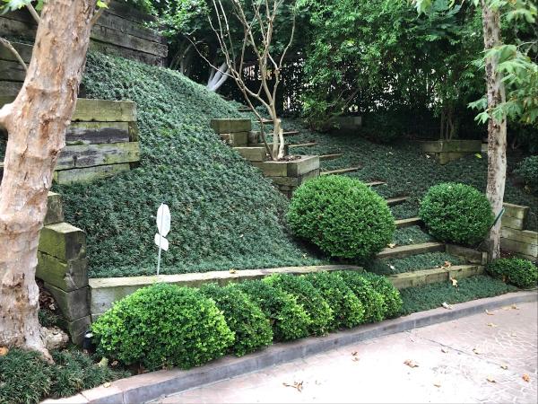 Sergio Contreras Landscape Inc.
