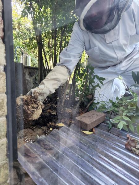 My Pest Pros