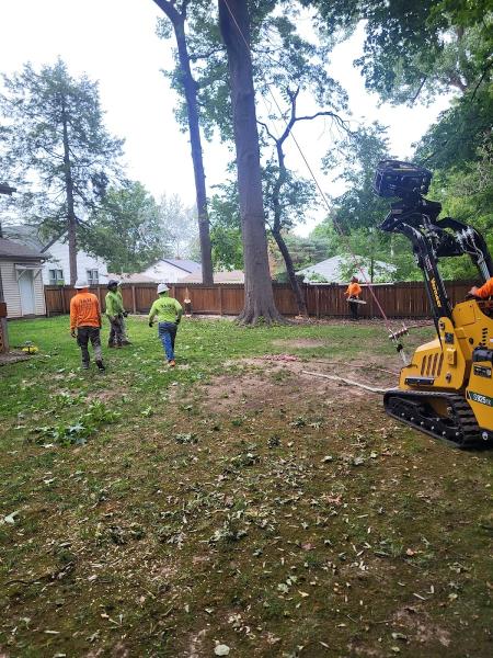 A&M Tree Services LLC